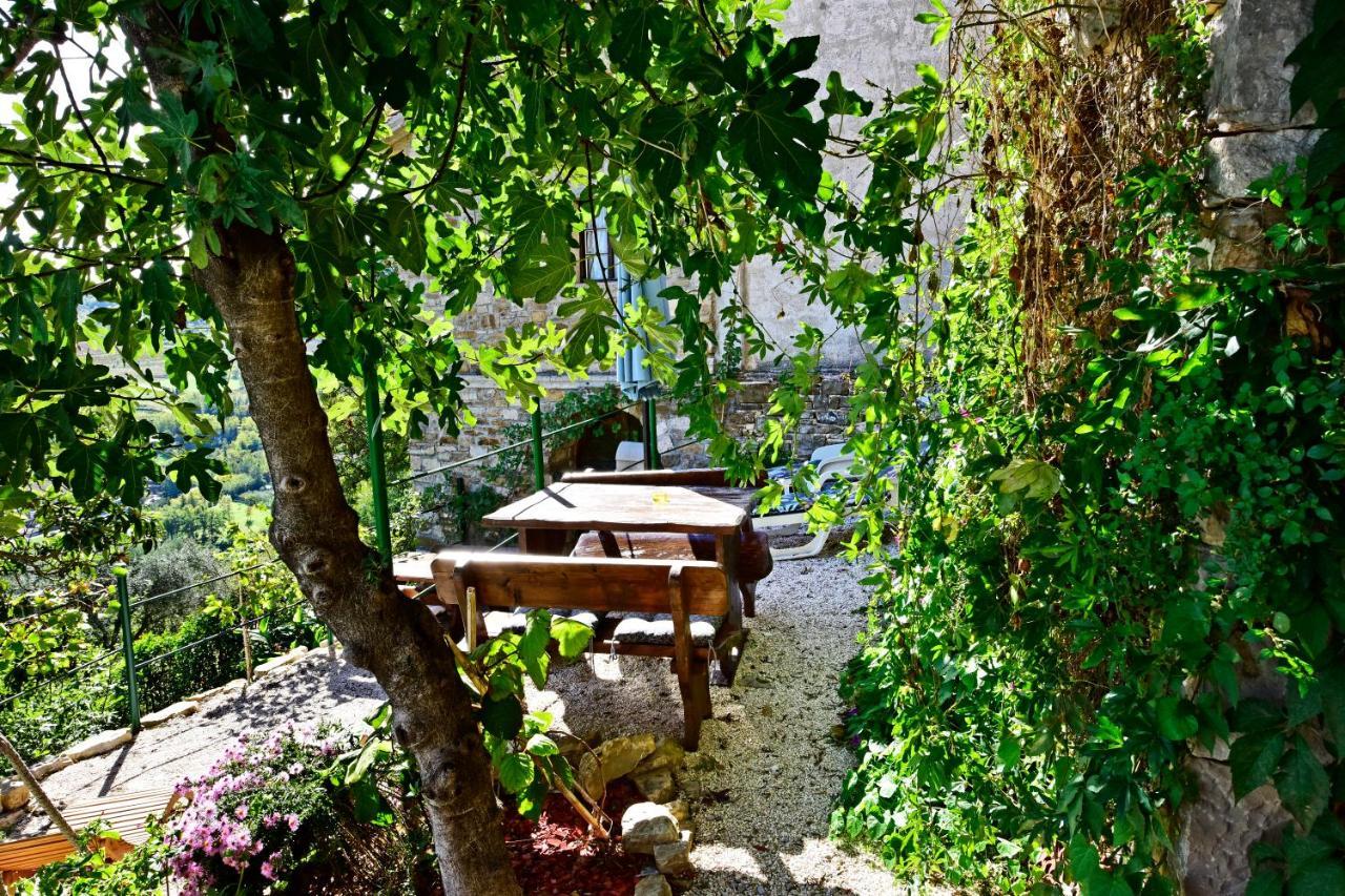 Villa Luna Motovun Exterior photo
