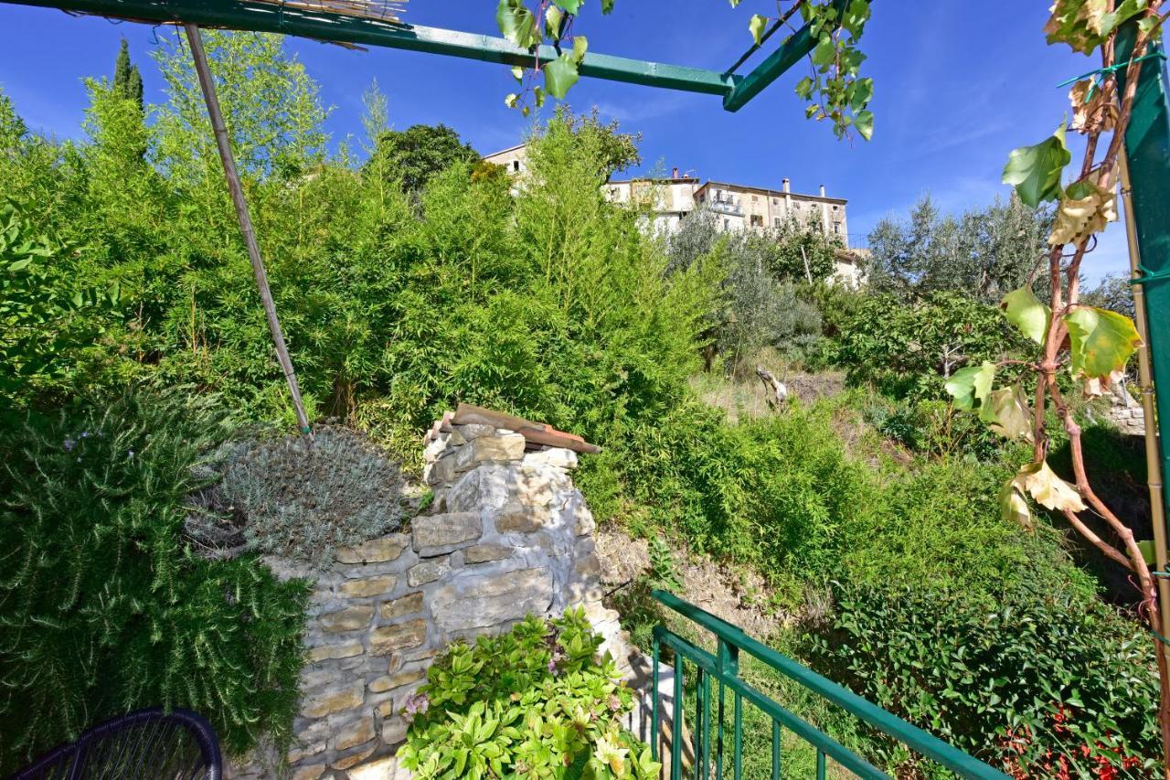 Villa Luna Motovun Exterior photo