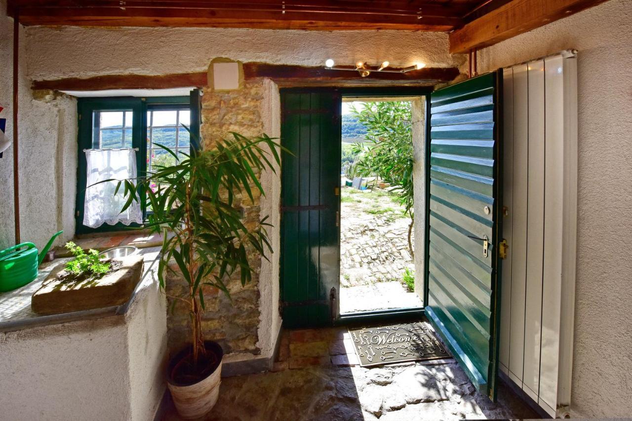 Villa Luna Motovun Exterior photo