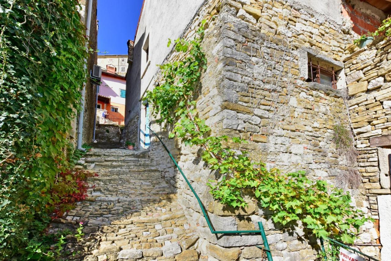 Villa Luna Motovun Exterior photo