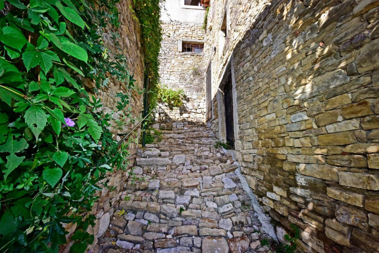 Villa Luna Motovun Exterior photo